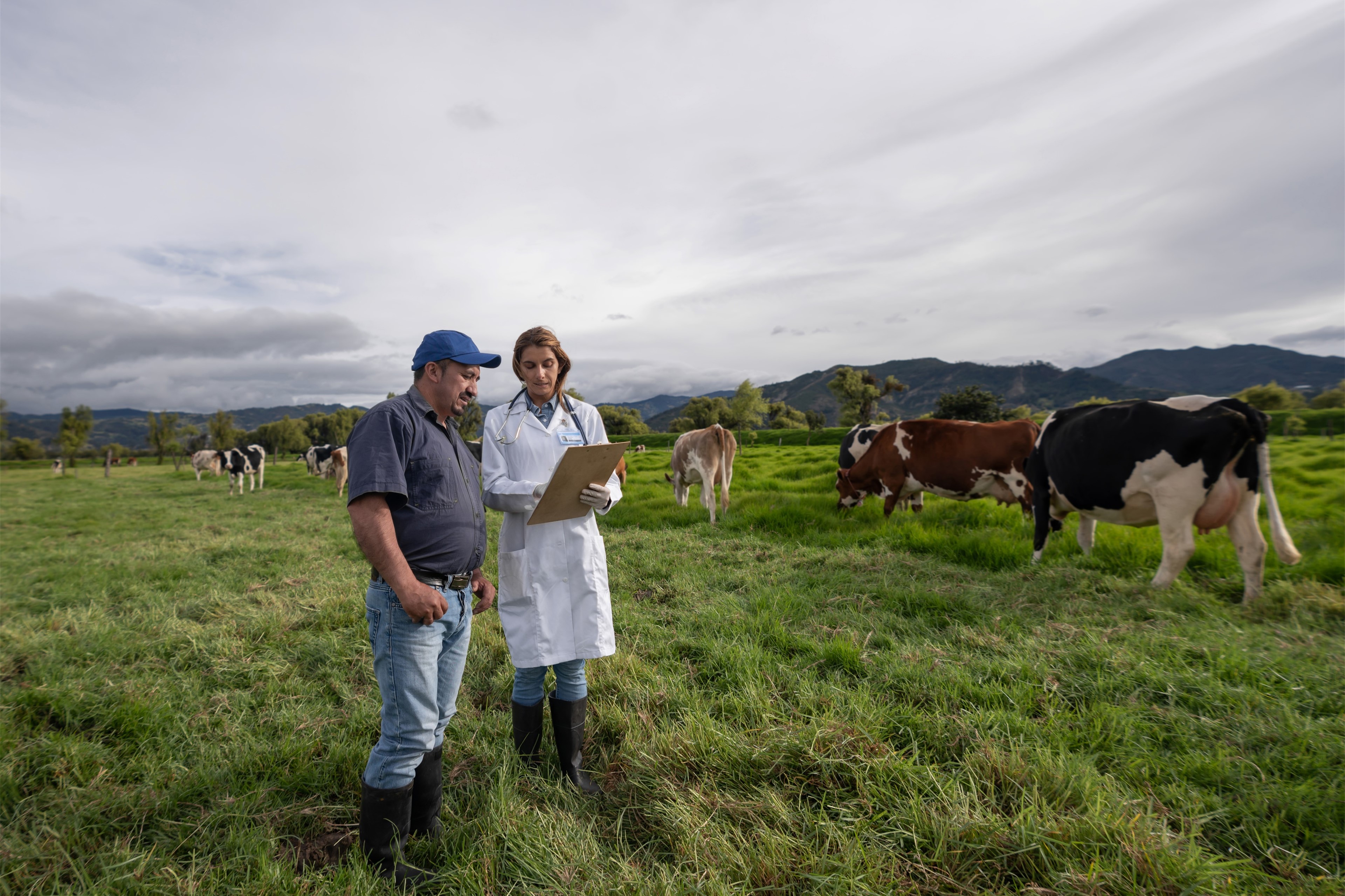 Contrôle effectif des SEL